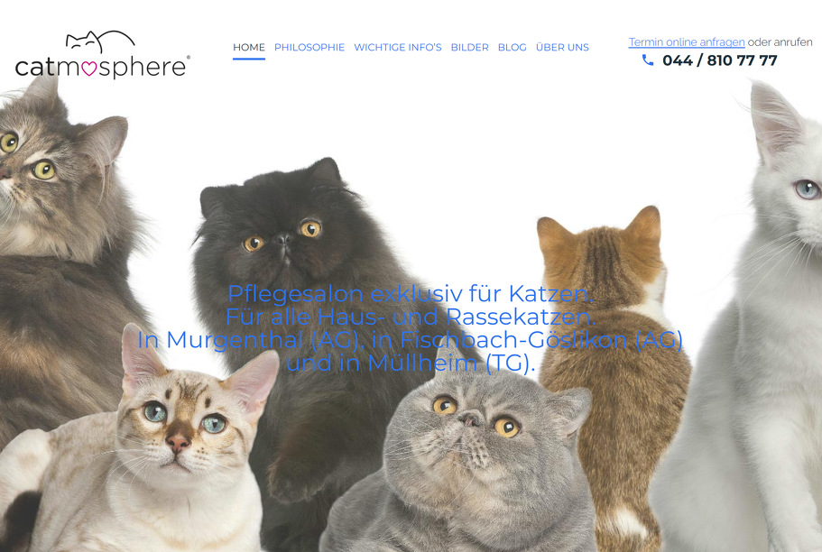 CATMOSPHERE KATZENSALON KATZENBADEN.CH